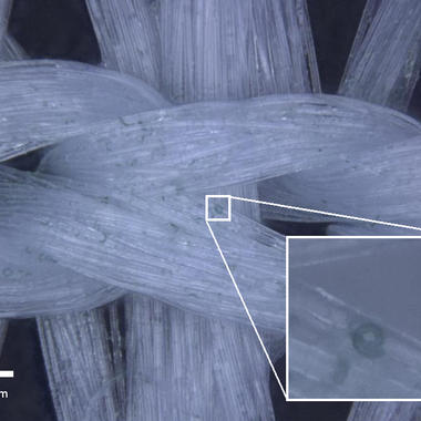 Mit Sol-Gel-Binder fixierte Spirulina-Partikel auf Polyestersubstrat: in der Vergrößerung ist die typische helicale Struktur der Alge zu erkennen